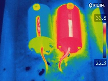 Mice inside Romanovsky-Holder, IR camera view